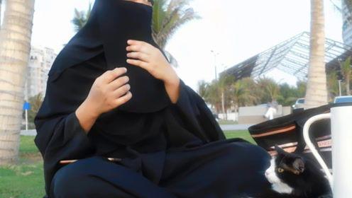 娱乐吃瓜君内增高,揭秘明星内增高背后的秘密